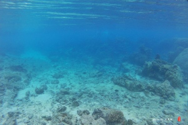 珊瑚海日本,陪你去看海底世界