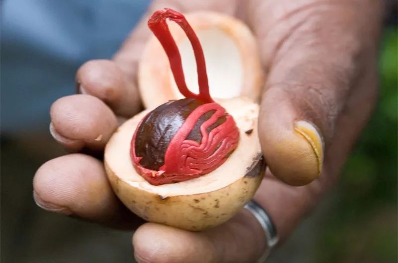 寻味纪录片完整版,寻味纪录片视频