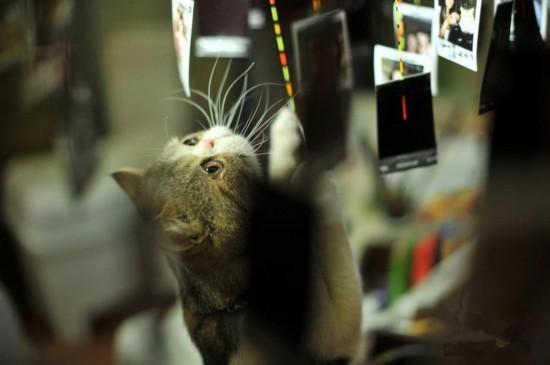 酒店试睡员适合干什么,如何成为一名酒店试睡员