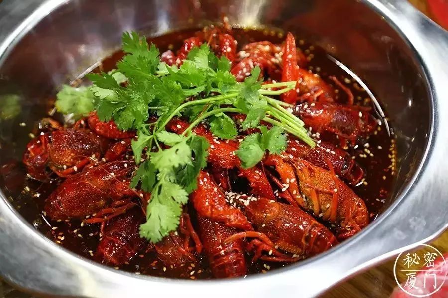 与厦门15位“大神”对话,其中几个说不定你还认识