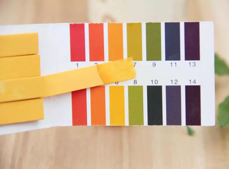 aminoacid氨基酸洁面乳国货,国货平价油皮洗面奶测评