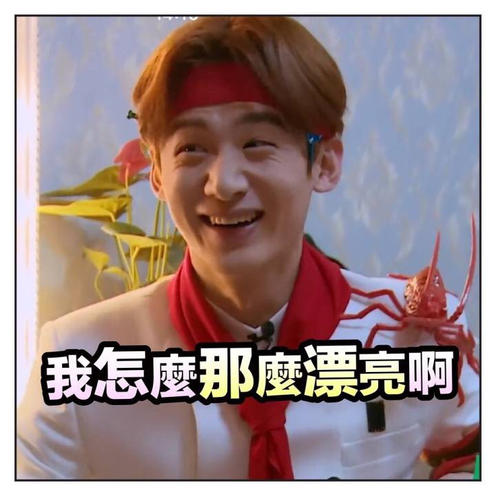 豆瓣日记茉莉,好用的平价彩妆产品推荐