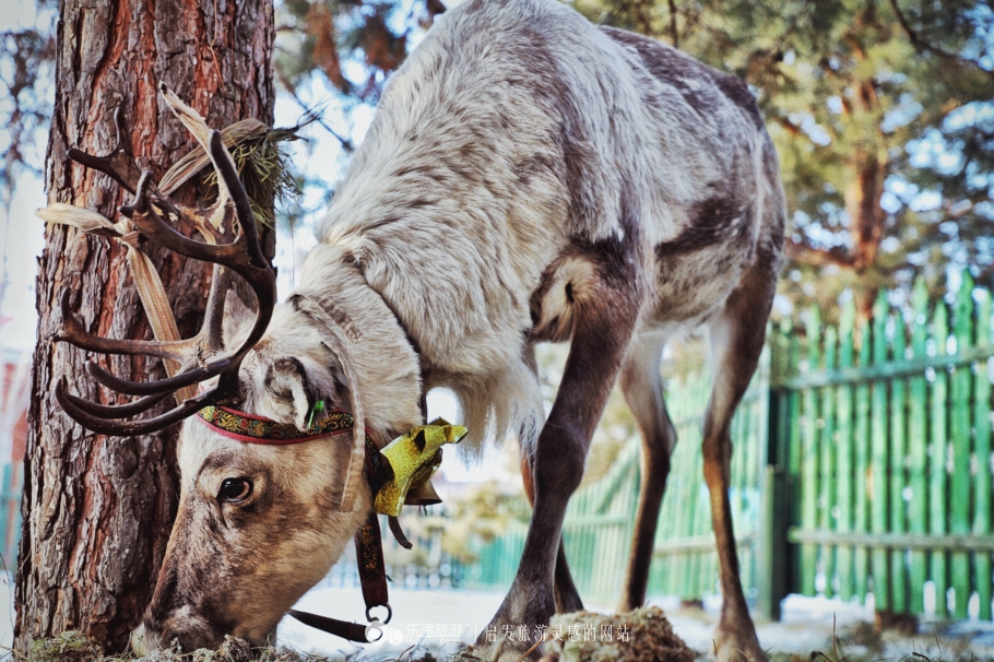伏尔加庄园风情故事,哈尔滨俄式风情伏尔加庄园