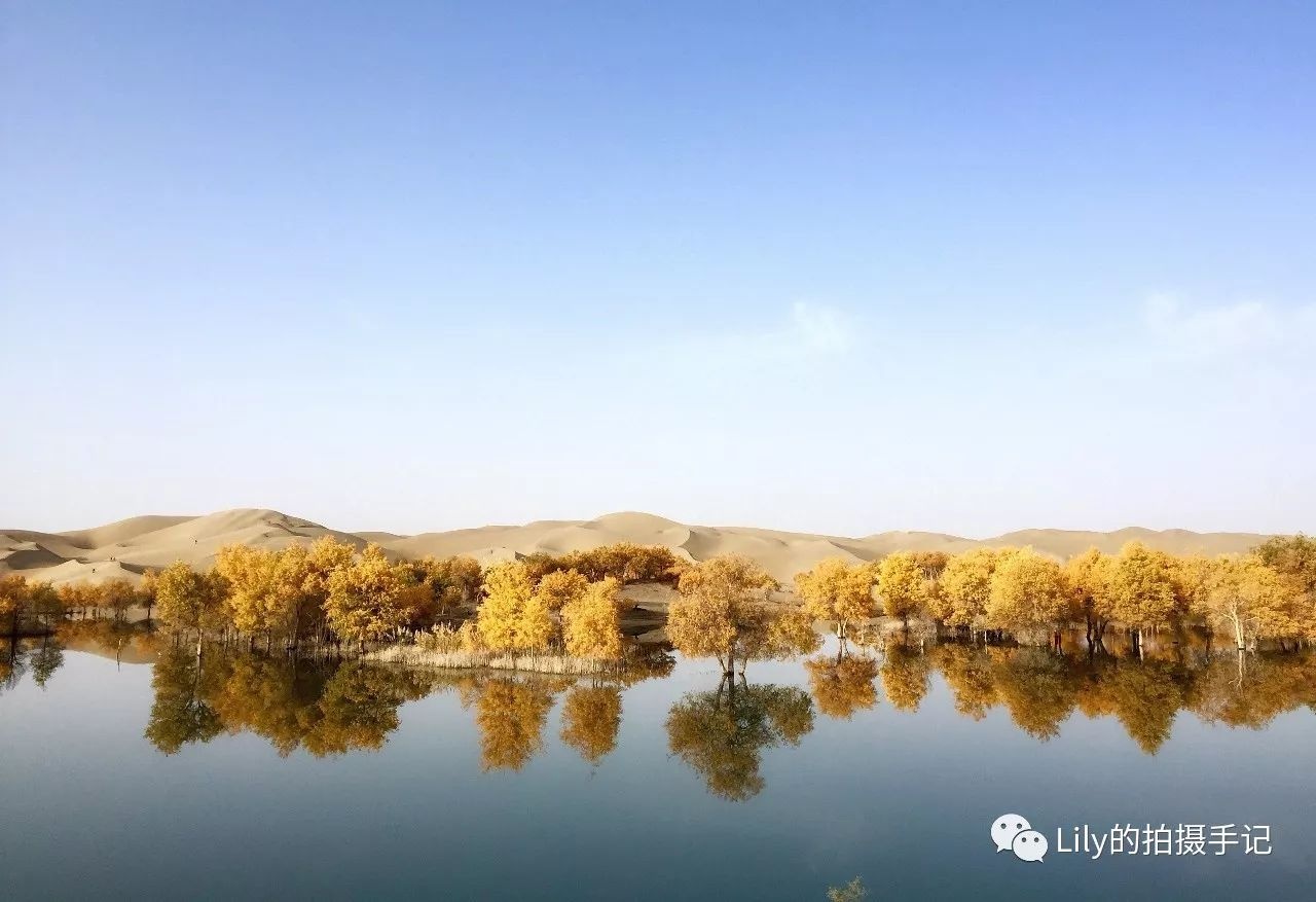 手机拍摄全景照片技巧大全,怎么用手机拍摄高清风景照片