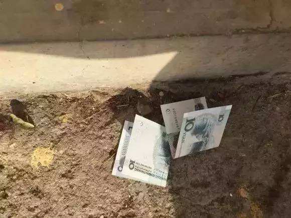 小伙意外获得10亿现金,小伙意外获得500万现金