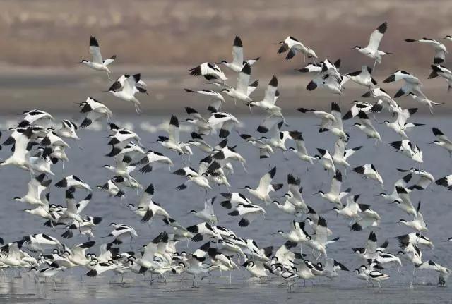 元旦旅行推荐,元旦小众旅游攻略