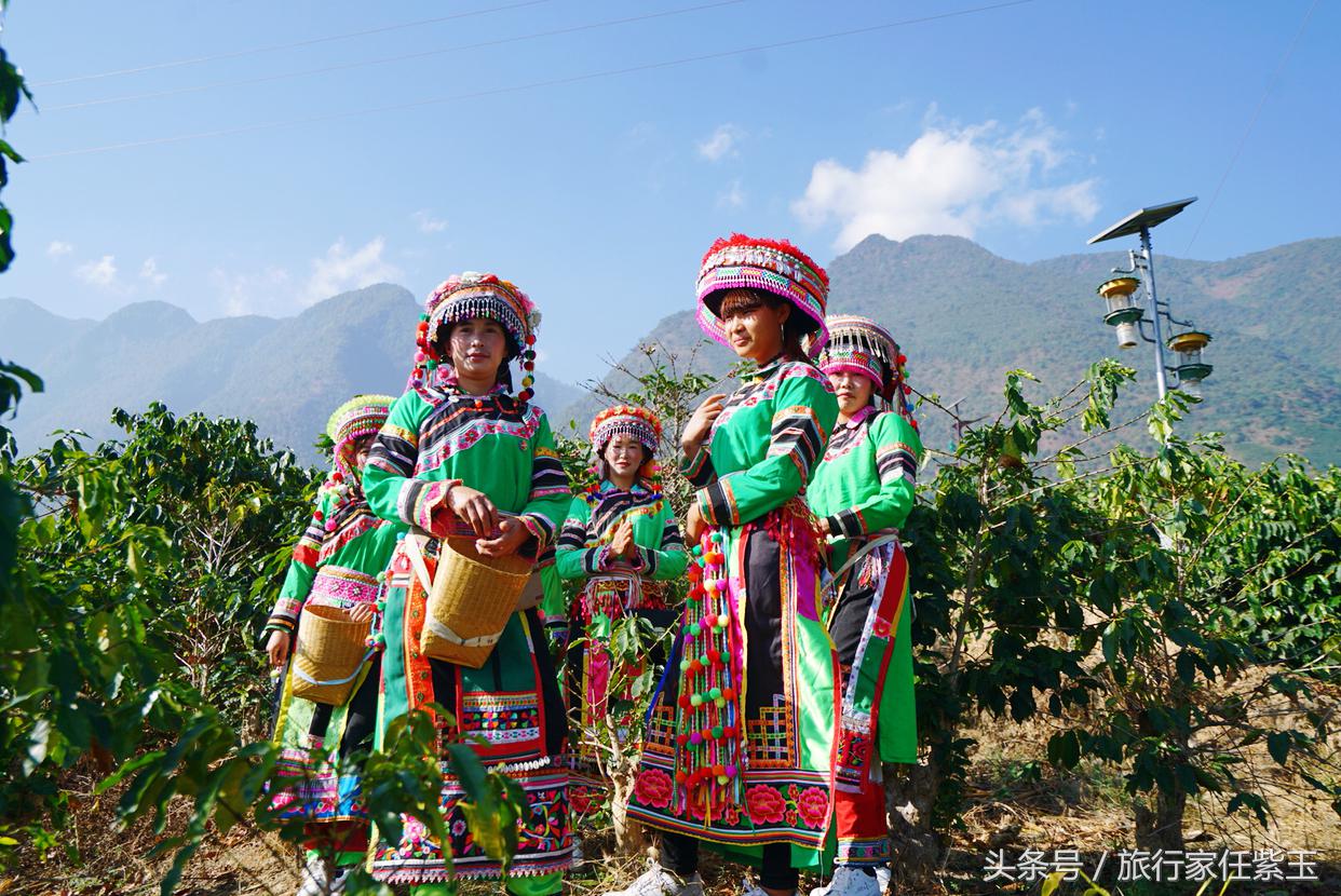 猫屎咖啡和普通咖啡有什么区别呢,猫屎咖啡和云南小粒咖啡哪个好
