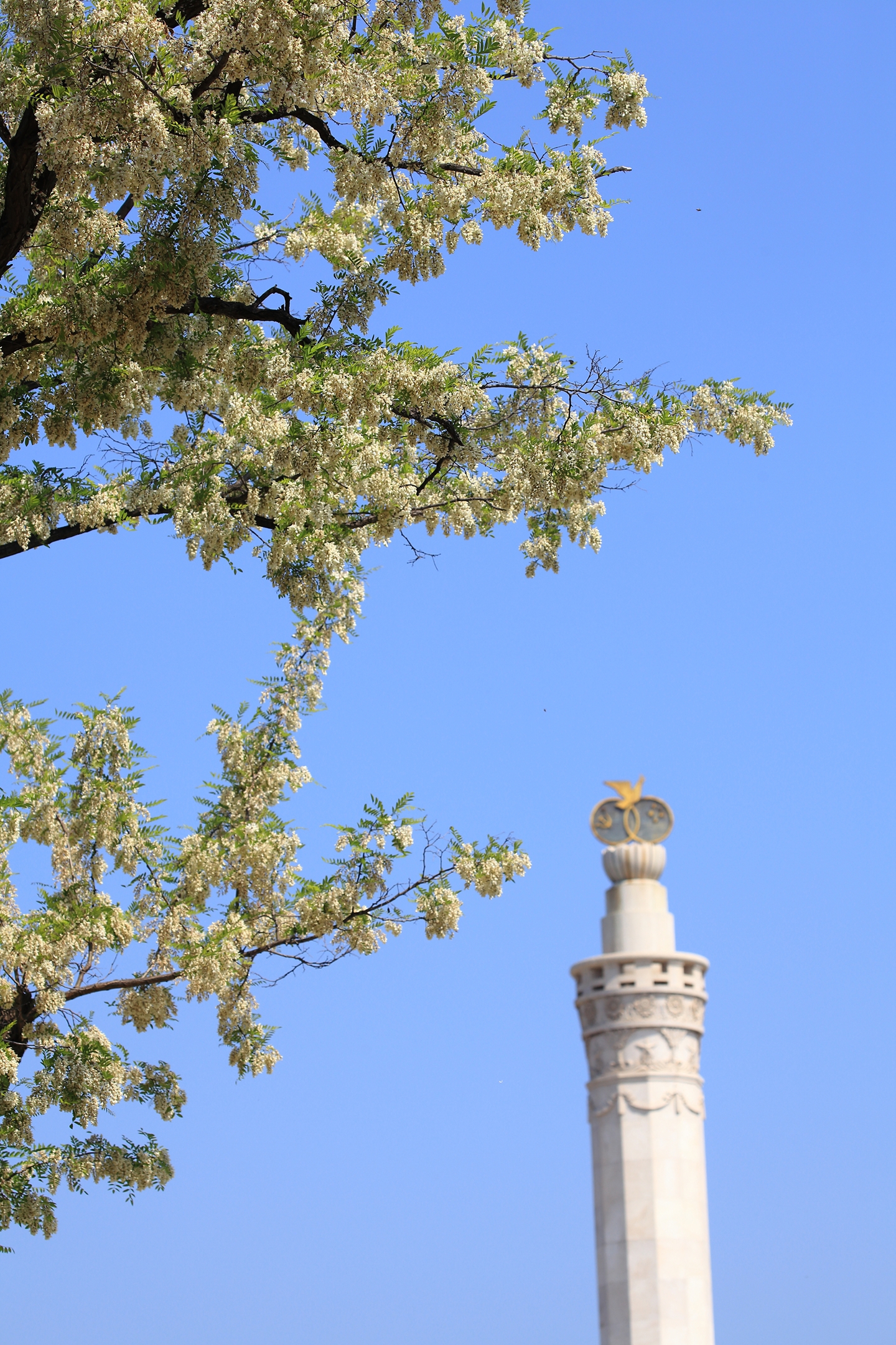 爱上旅顺这座城,爱上大连这座城市