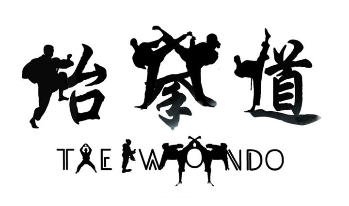 韩国tiger跆拳道,格斗术韩国跆拳道