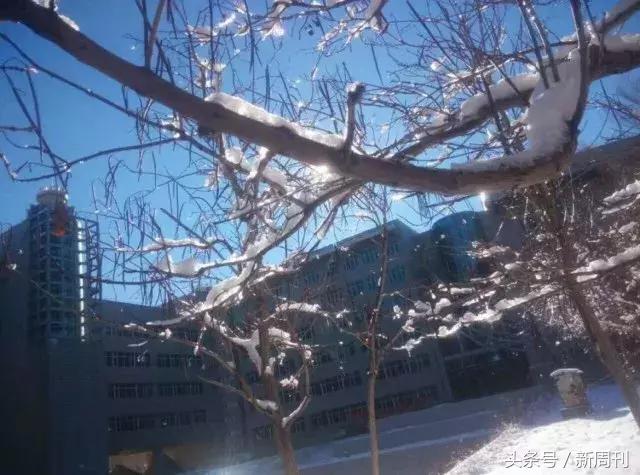 全球最美的十大雪景,全国十大最好看的雪景