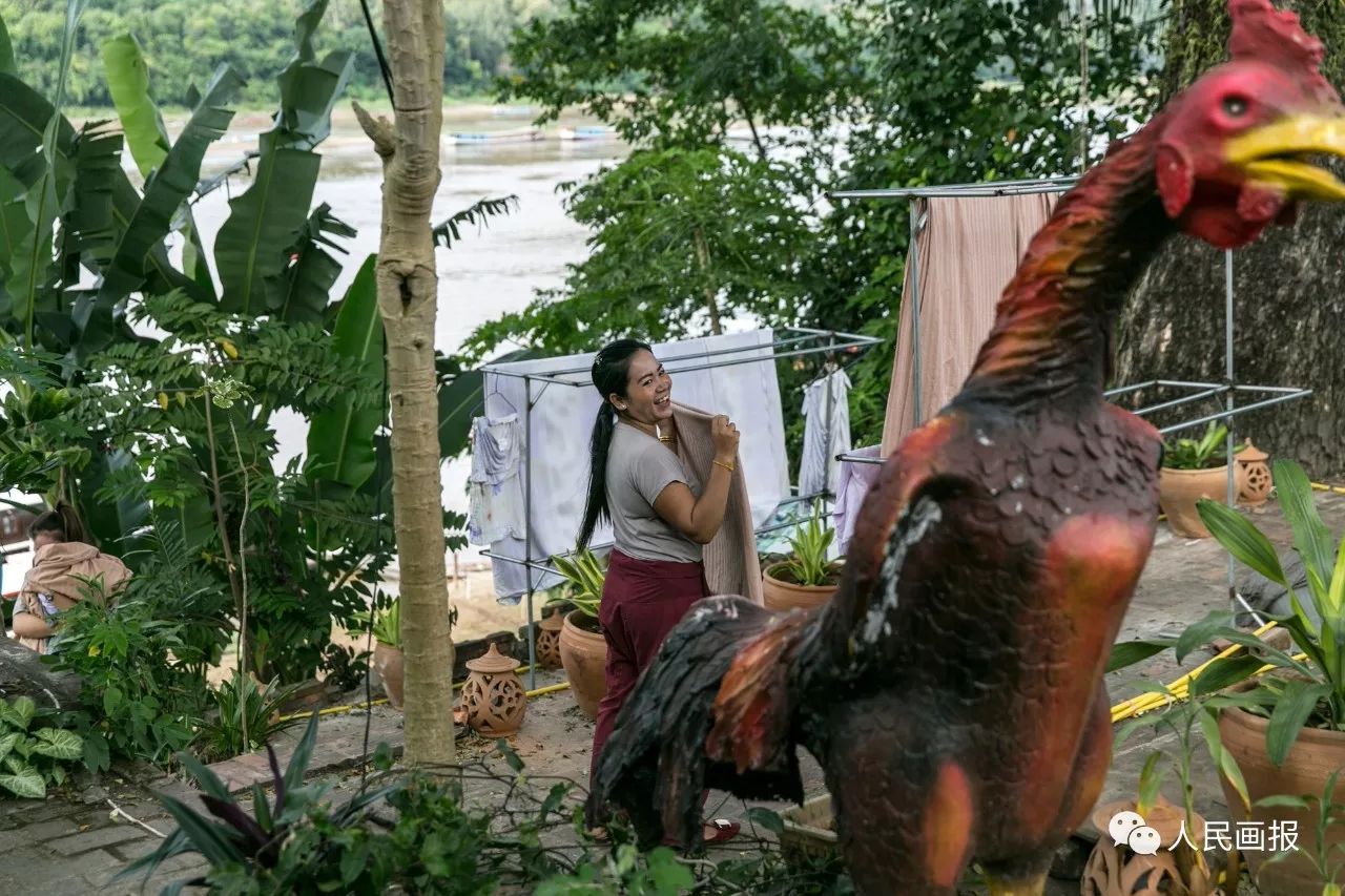 一周画报2017,周末画报2017