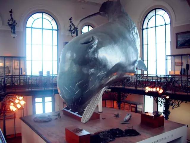 法国纪行—摩纳哥（看看F1赛道，欧洲*场赌**和摩纳哥王妃）