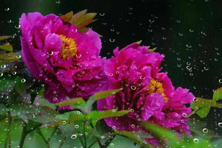 一个手机摄影师,一个摄影师日常记录生活