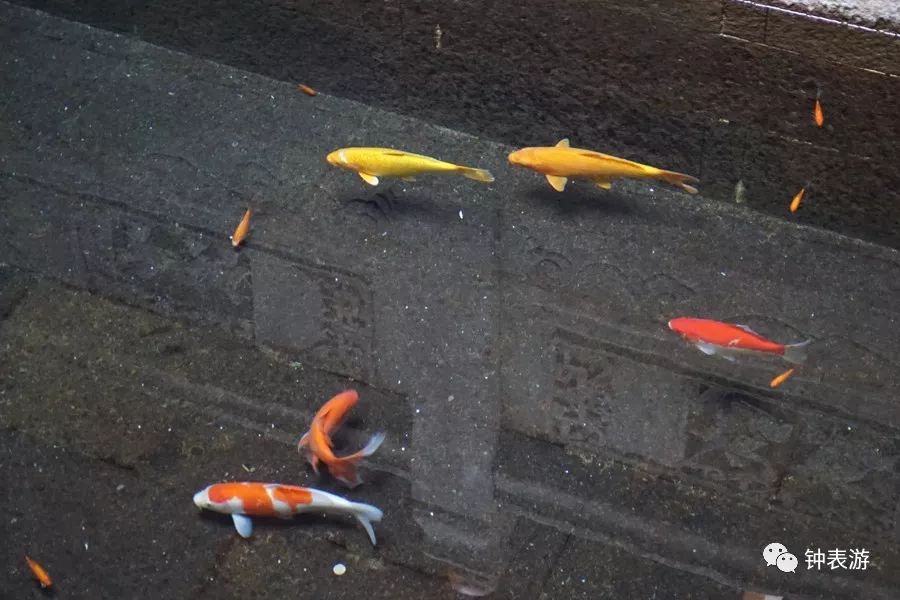 朗格表是什么牌子,顶级朗格表