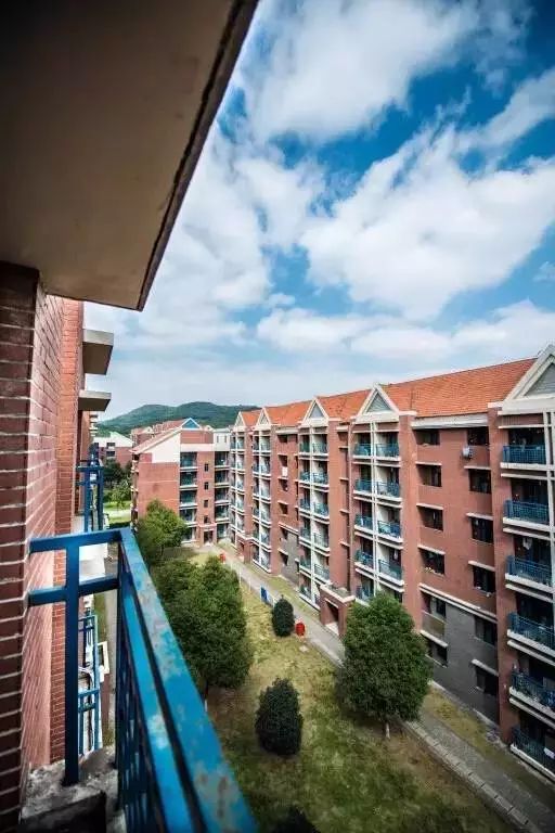 神一样的学校高考和中考都很惊艳,神一样的学校