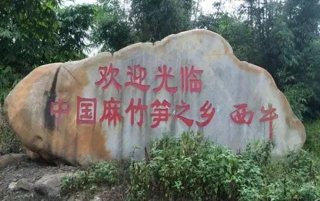 英德市特色,英德有几个特产