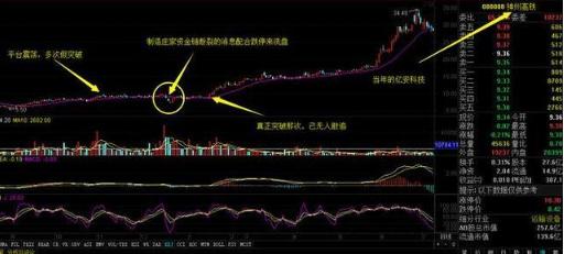 中国股市大暴跌,中国股市乱象事件