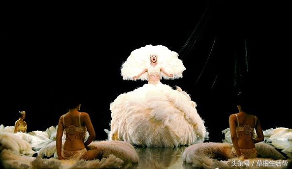 养殖“大笨鸟”，敲开致富门，80后回老家创业成为新一代农场主