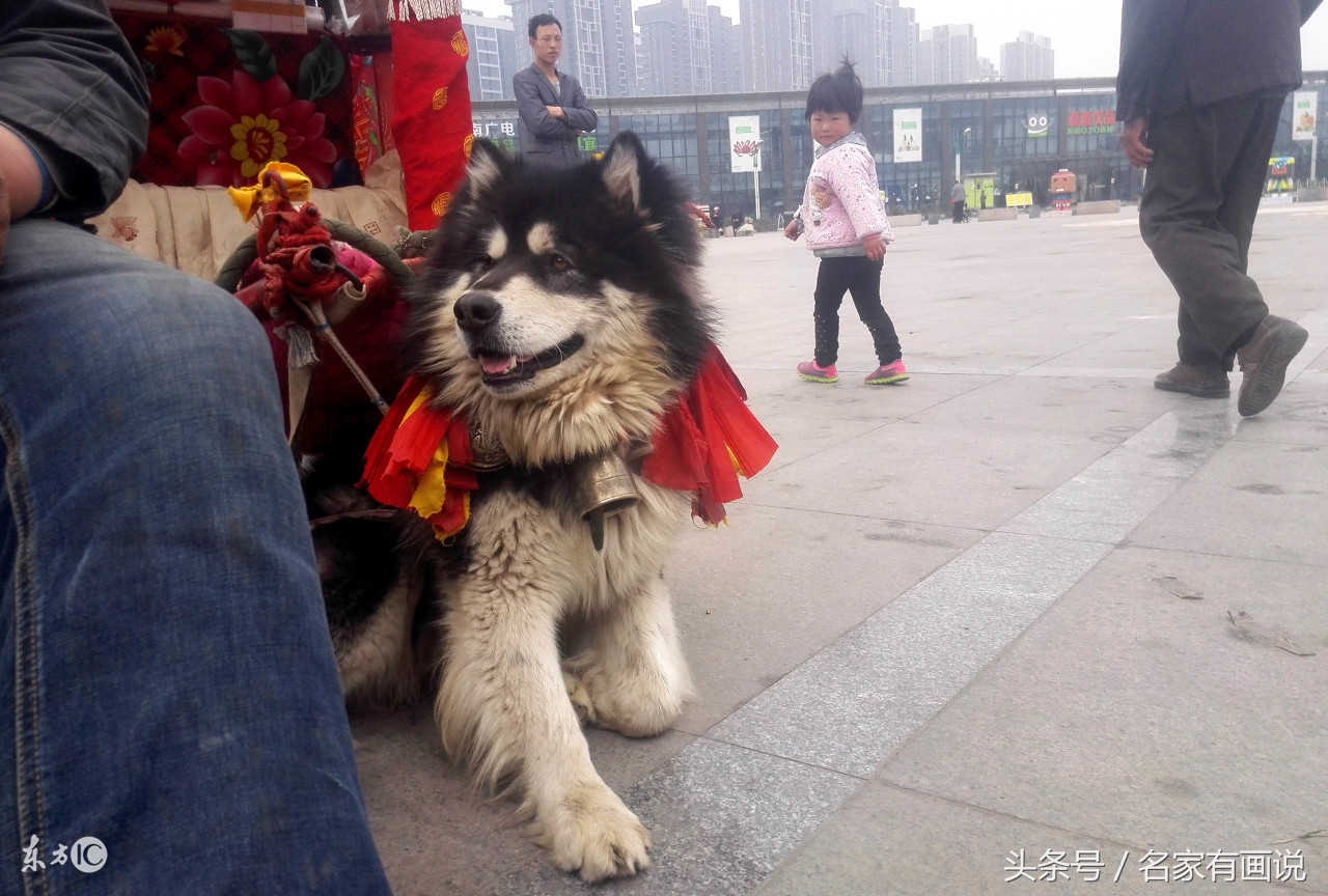 佛教2024年祝福,佛教2024吉祥年