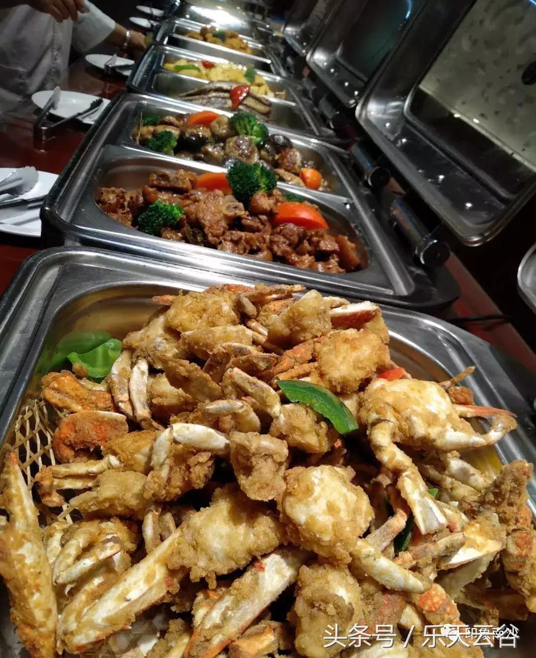 元旦南沙去哪里玩,南沙黄山鲁森林公园游玩攻略