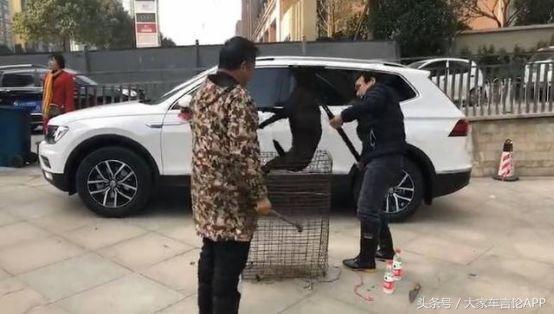 买新车后怎么祈福,新车落地祈福方法