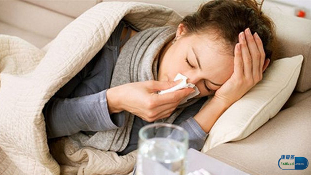 胎菊贡菊和皇菊的区别哪个降火好,菊花胎菊好还是贡菊好