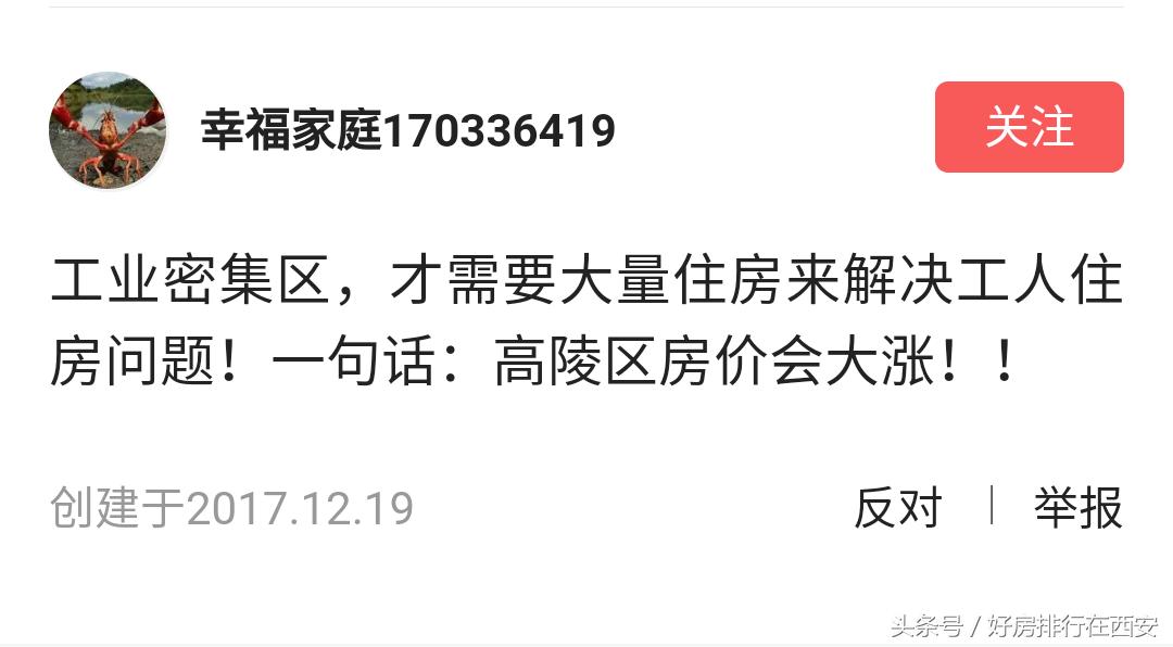 高陵滞销白菜,高陵为什么是关中白菜心