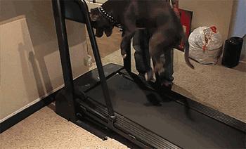 跑步岔气了怎么快速缓解知乎,跑步岔气怎么快速缓解