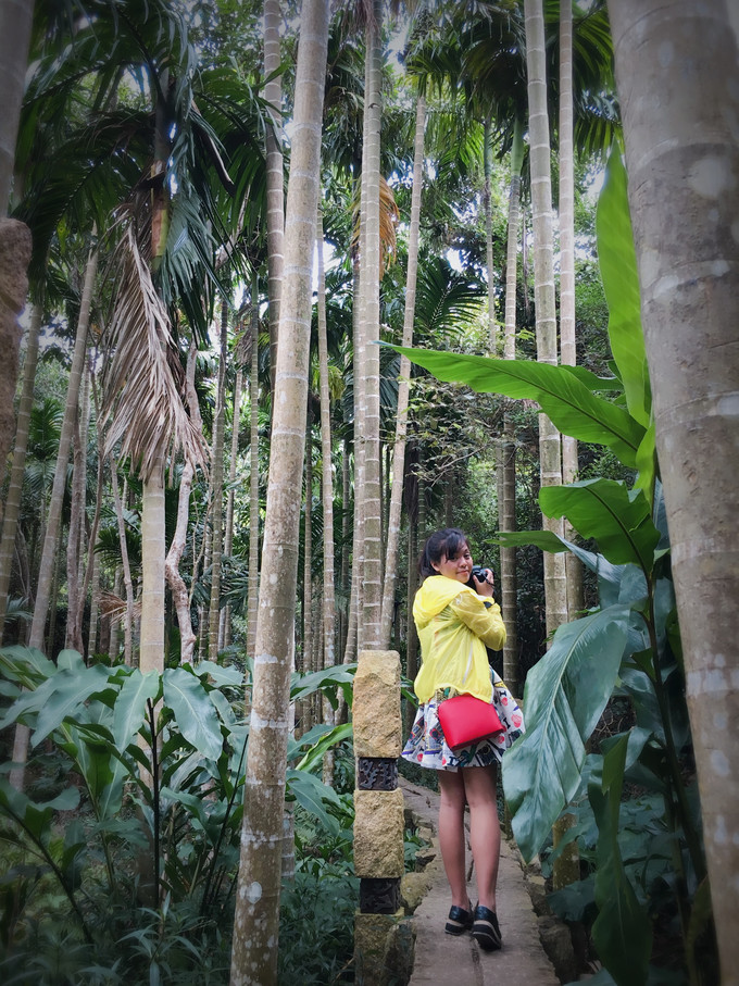 三亚暖冬之旅攻略,北纬18度海南三亚