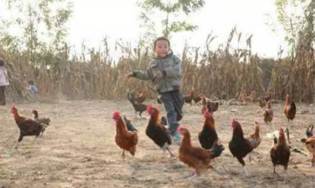 刘强东谈电商扶贫新模式,刘强东扶贫平石头村致富了吗