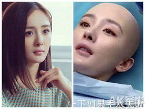 盘点女明星们的光头造型,女星罕见光头照哪个能惊艳到你