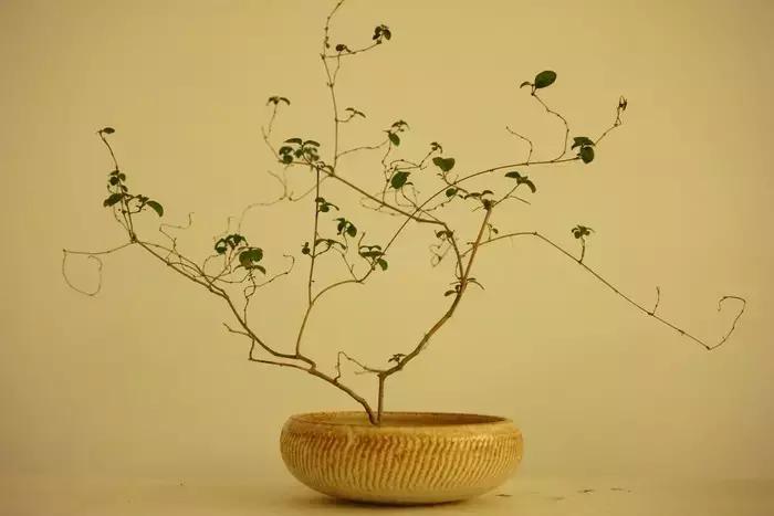 100句古今绝美句子,二十四史经典佳句30则附译文