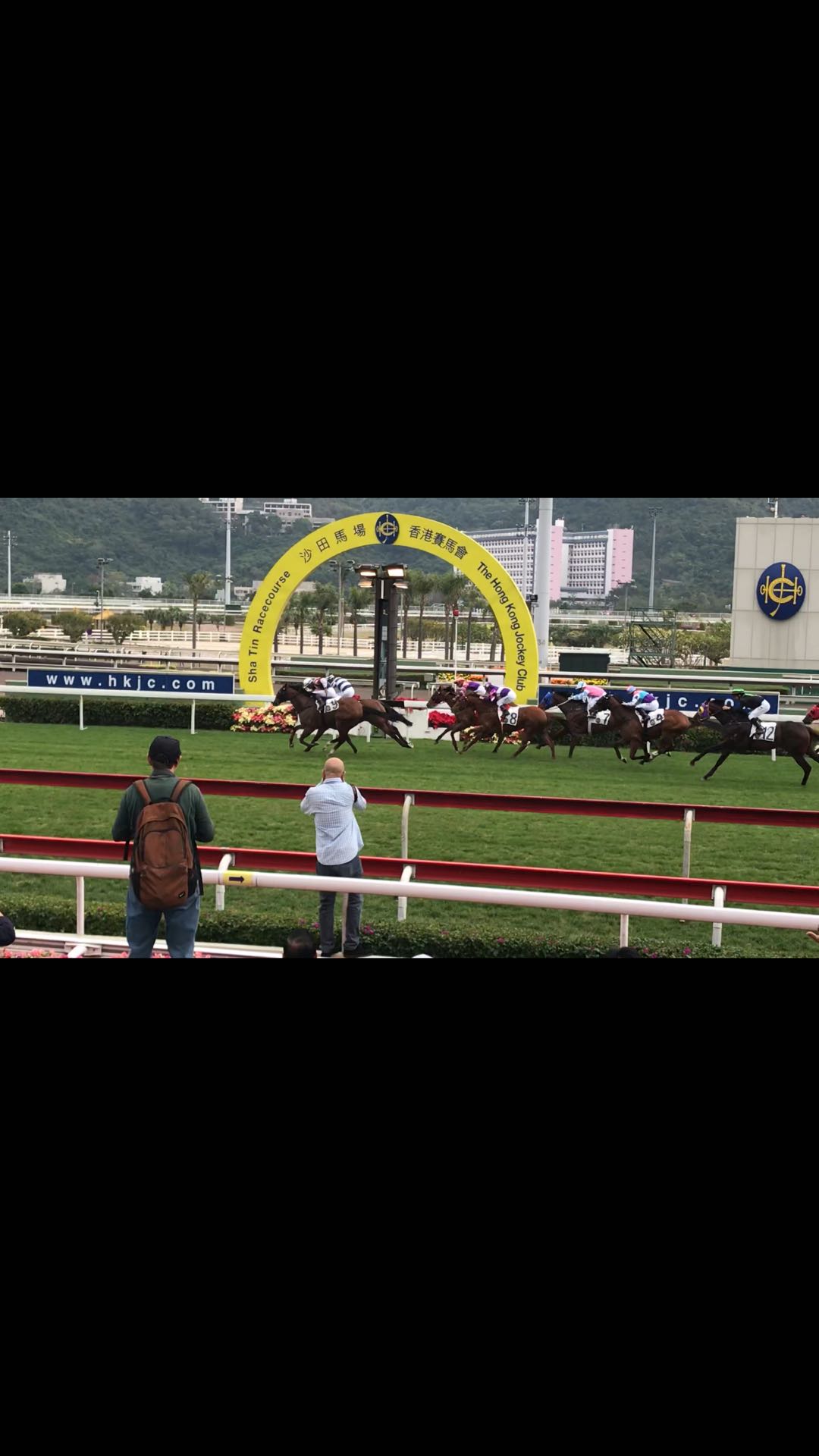 香港游记之湾仔,香港旅游所见所闻