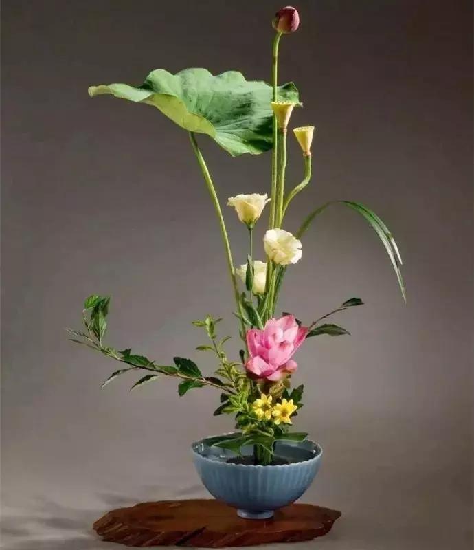 100句古今绝美句子,二十四史经典佳句30则附译文