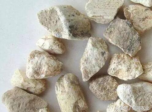 龙骨降价,龙骨价格涨了几倍