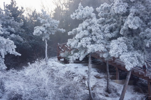 中原区有雪吗,中原雪乡在哪里