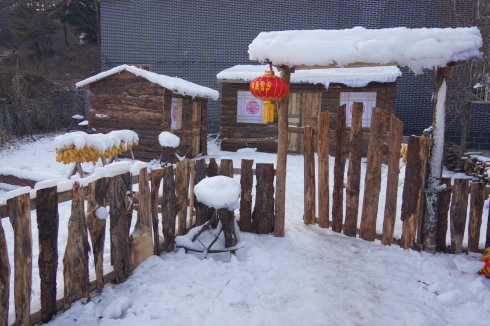 中原区有雪吗,中原雪乡在哪里