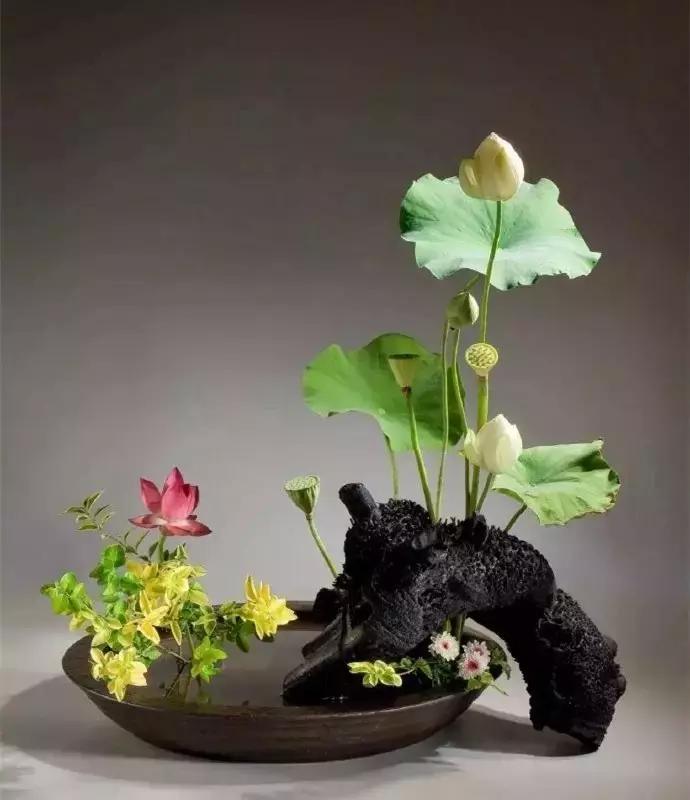 100句古今绝美句子,二十四史经典佳句30则附译文