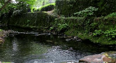 这栋小桥流水的民宿——“眷舍”