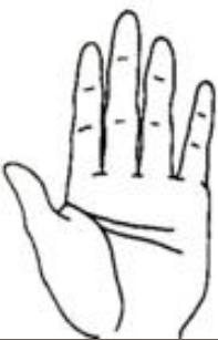 断手相示意图讲解,手相分析精讲