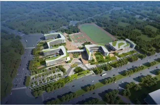 蔡甸，你凭什么这么牛？