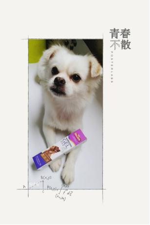 狗狗有必要吃软骨素吗,什么牌子的狗狗营养膏好