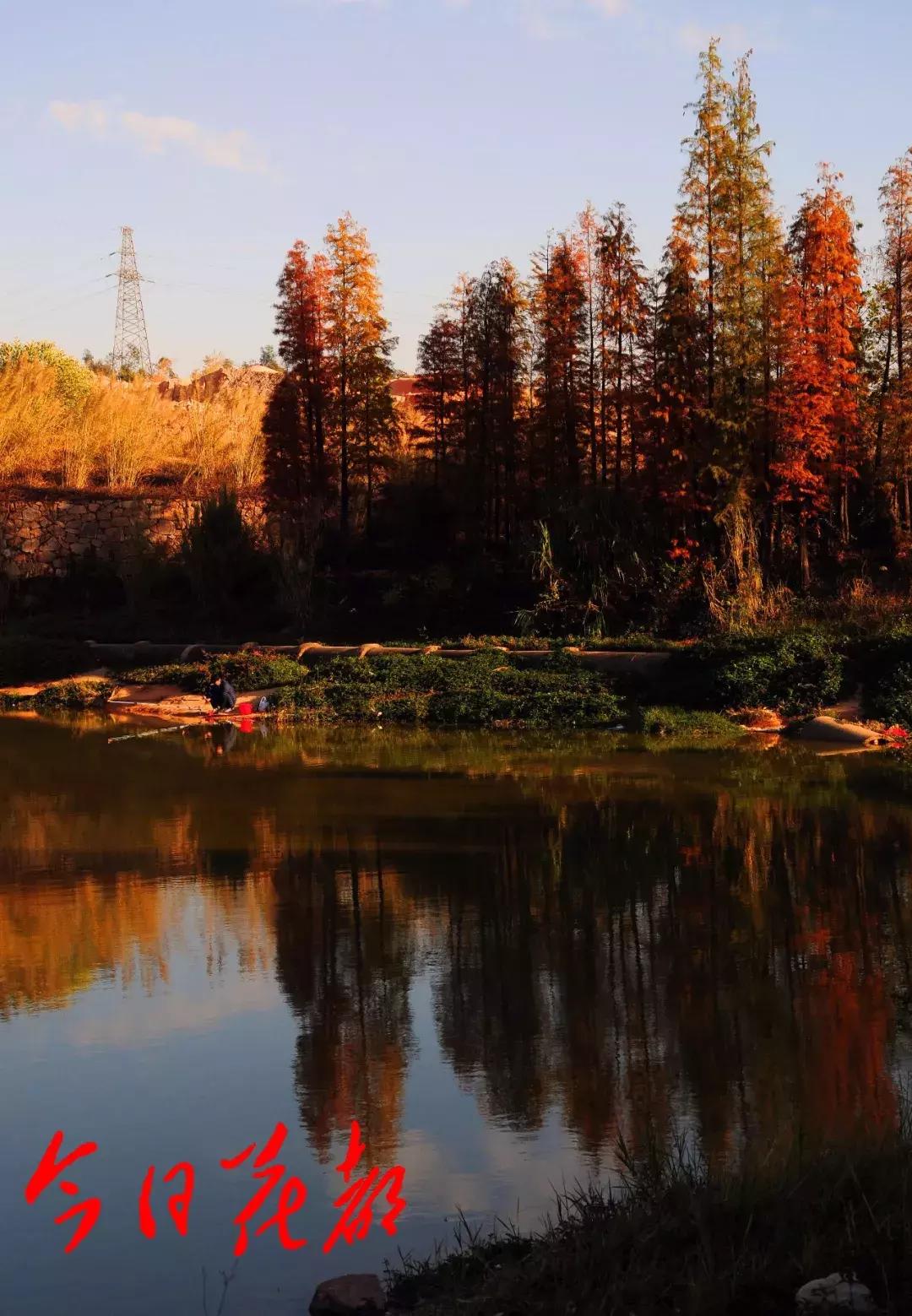 花都芙蓉嶂旅游景点,花都芙蓉嶂夜景