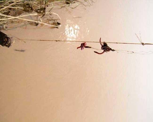 失传已久的钓鱼手法,失传已久的钓鱼法