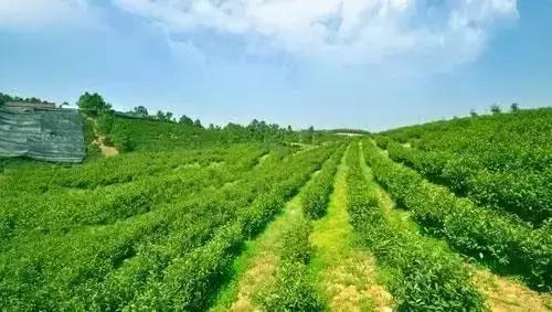 溧阳，江南私藏的秘境小城！