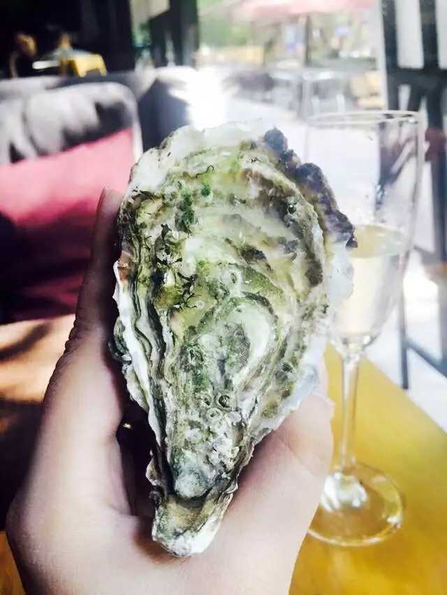 需要我来教你吗英文,你愿意请我吃生蚝吗