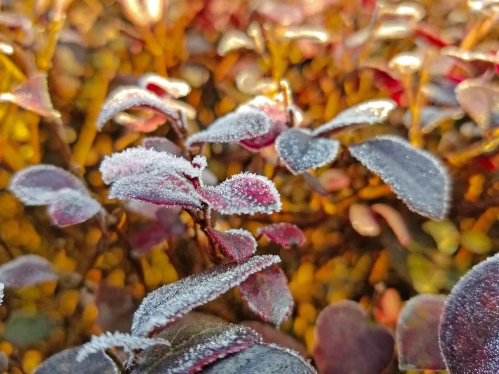 三星s8与s8+及note8拍照,三星s8官方拍照样张