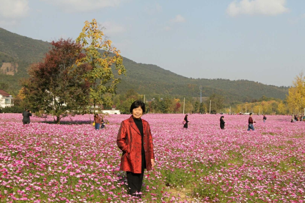 「诗词原创」鑫金汇分韵雅集