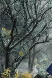 今晚深圳有什么活动,最近深圳周末有什么活动吗