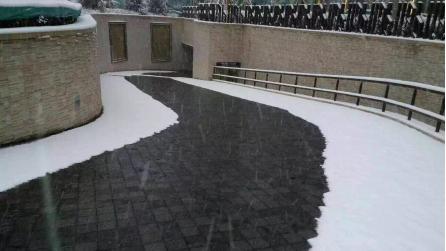 中大国际九号别墅,中大国际九号1094平米户型